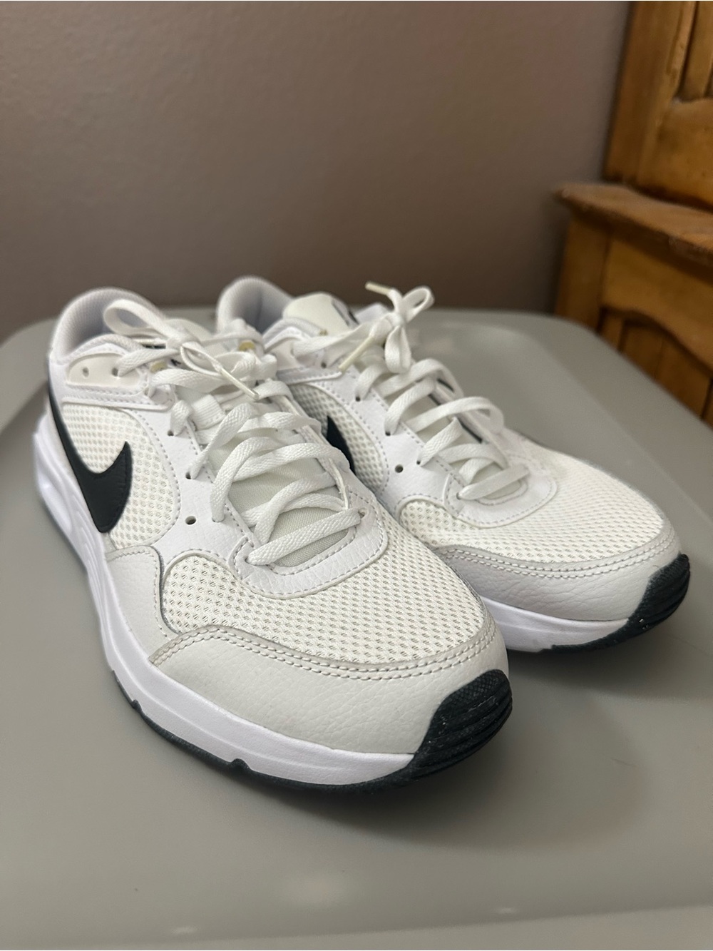 Nike Air Max SC sneakers